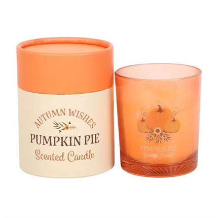 Autumn Wishes Pumpkin Pie Candle