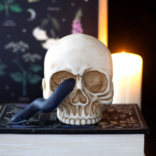 Skull Ornament with Snake