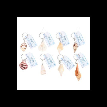 Set of 36 Resin Seashell Keyrings in Display